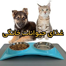 غذای حیوانات خانگی